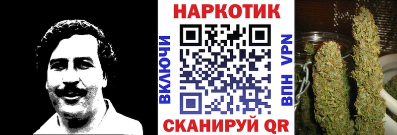 Где можно купить наркотики Алзамай Кокаин  Амфетамин  Галлюциногенные грибы  МЕФ  СК  Марихуана 