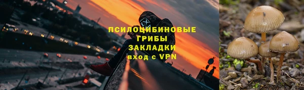 наркотики Алексеевка