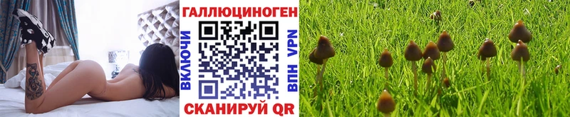 мега ONION  Алзамай  Псилоцибиновые грибы мухоморы 